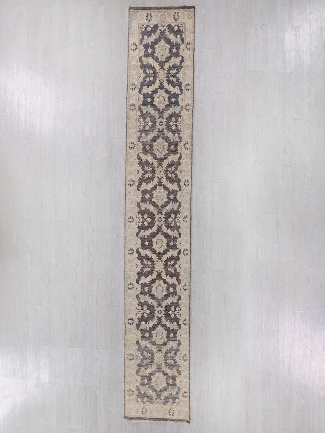 2' 3" x 14' 3"