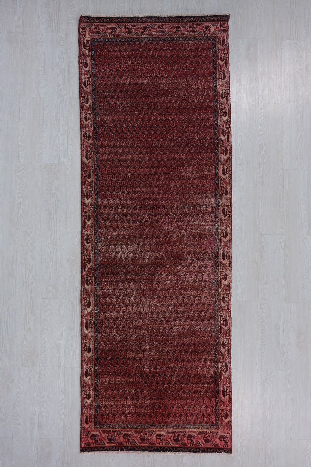 3'0" x 9'8"