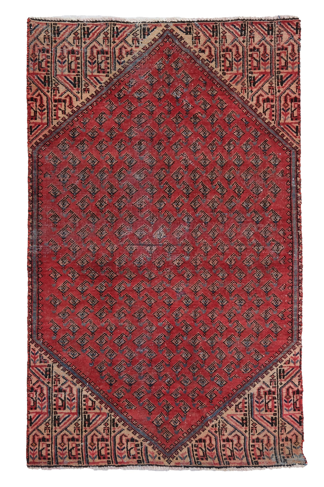 2'10" x 5'3"