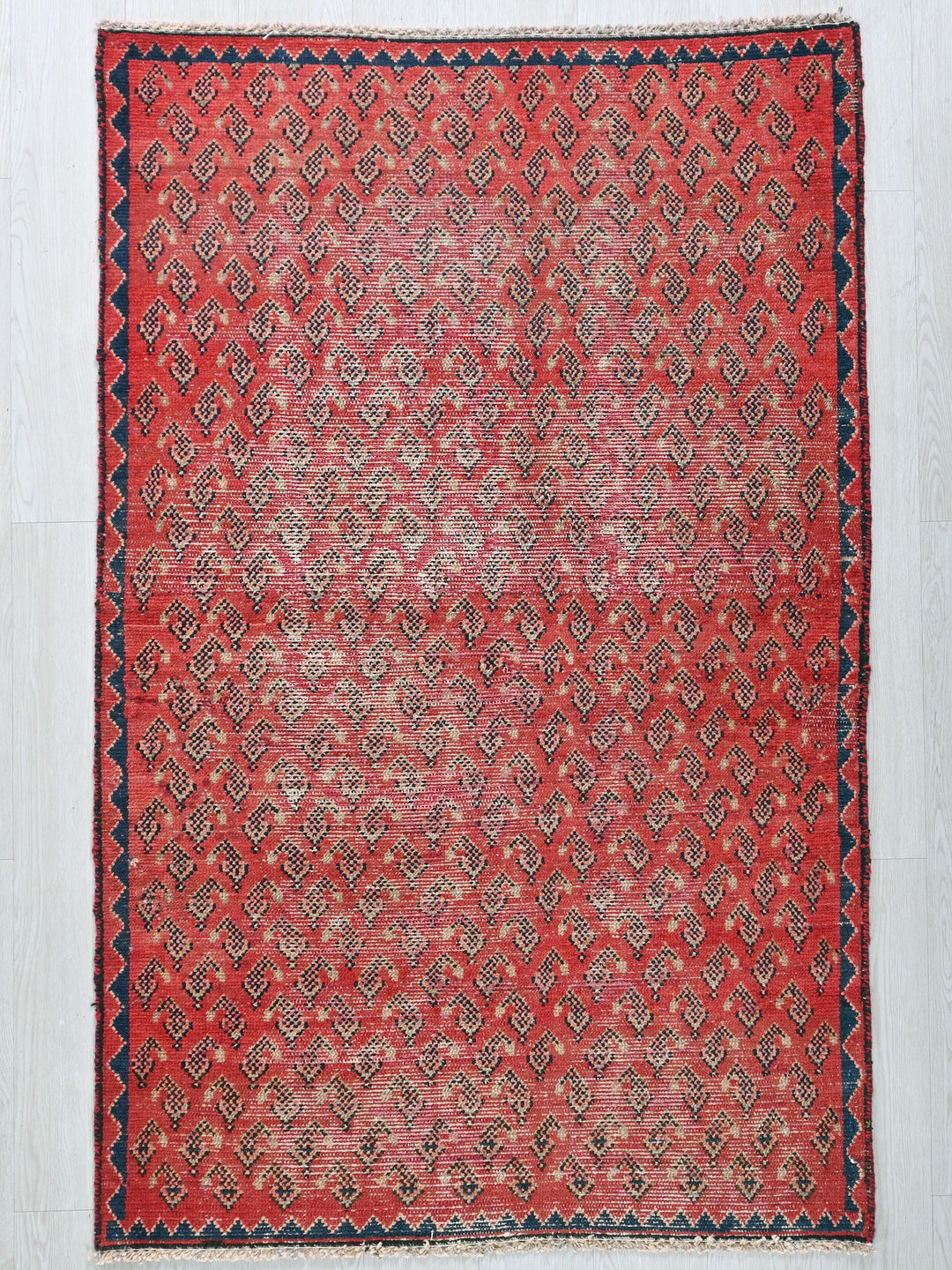 a red rug with a black border on a white background