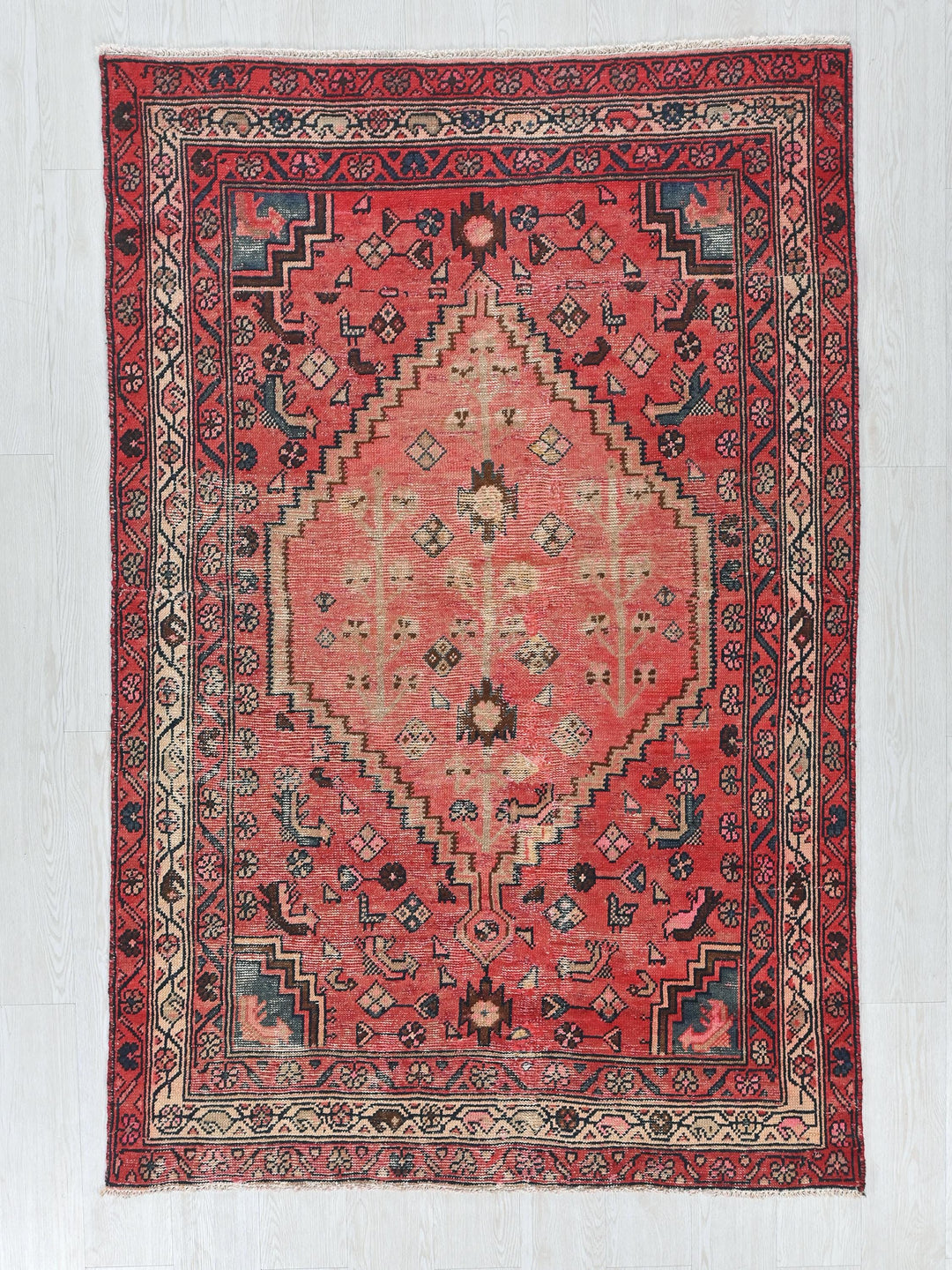 a red rug with an intricate design on it