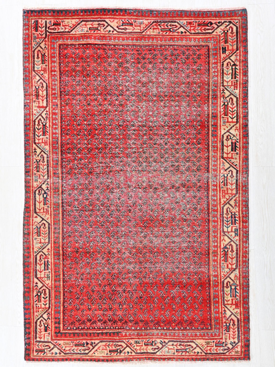 a red rug on a white background