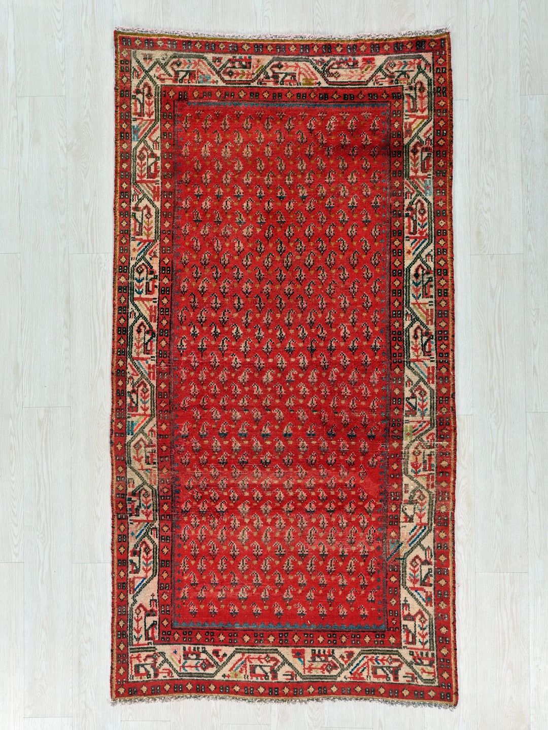 a red rug on a white wooden floor