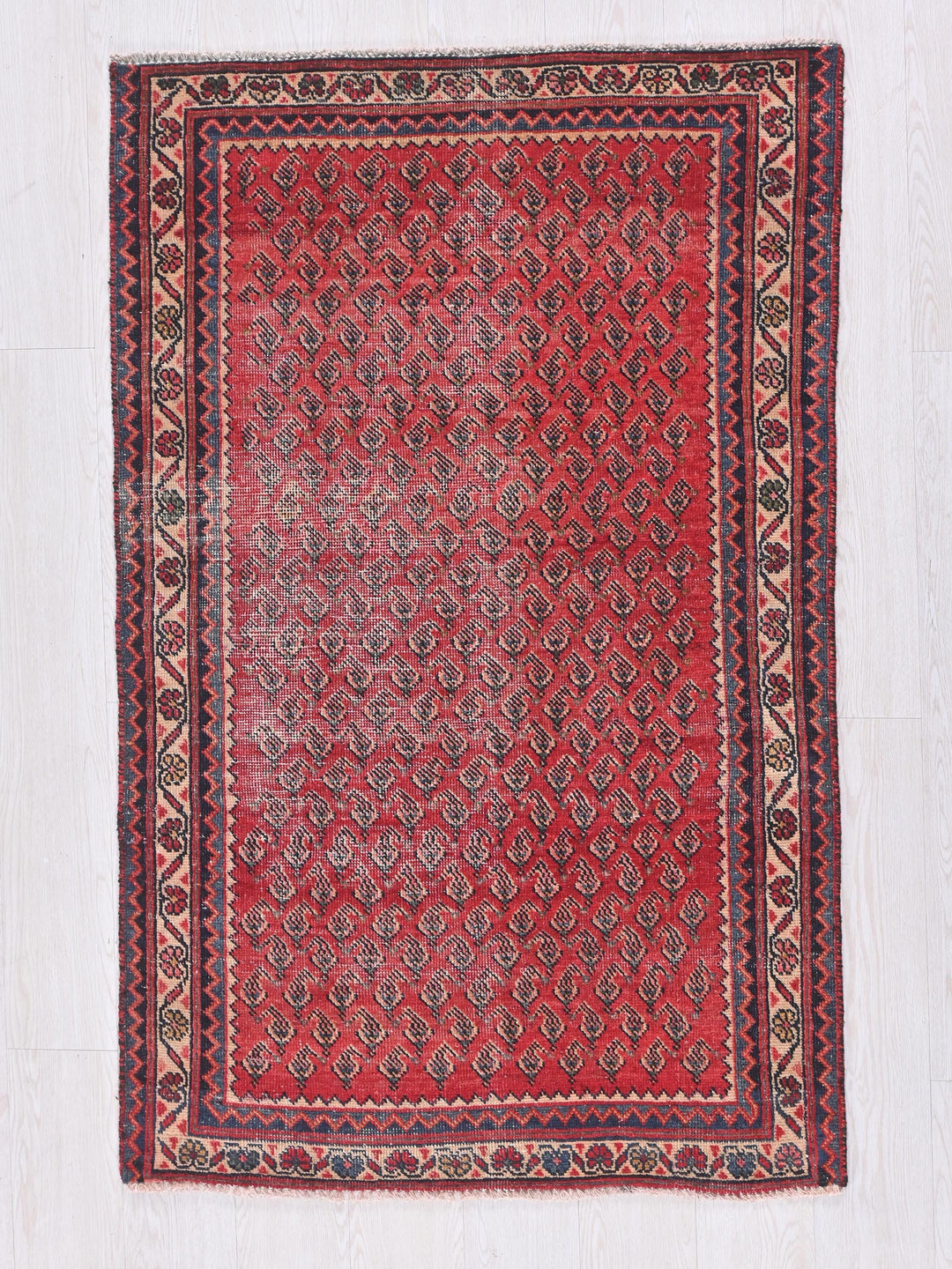 a red rug on a white wooden floor