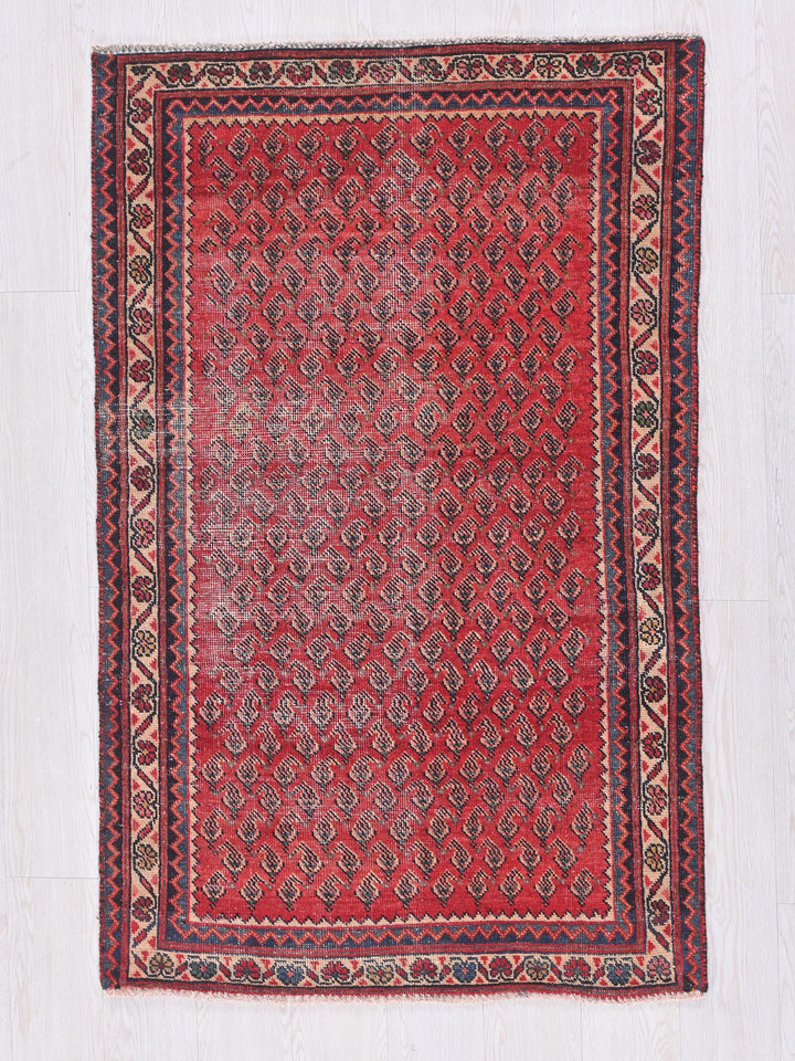 a red rug on a white wooden floor