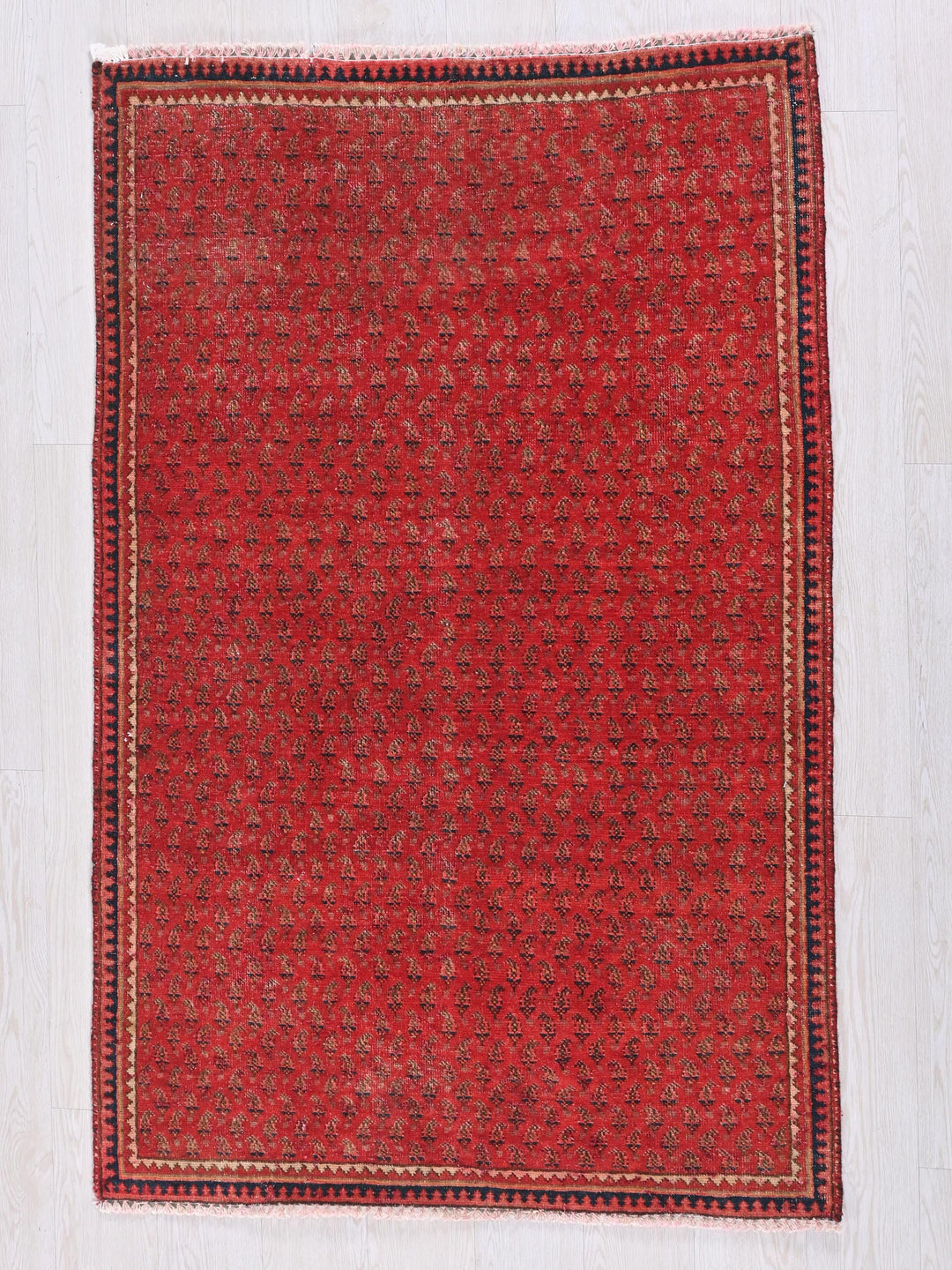 a red rug on a white wooden floor