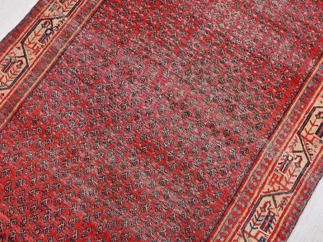 a red rug with a blue border on a wooden floor
