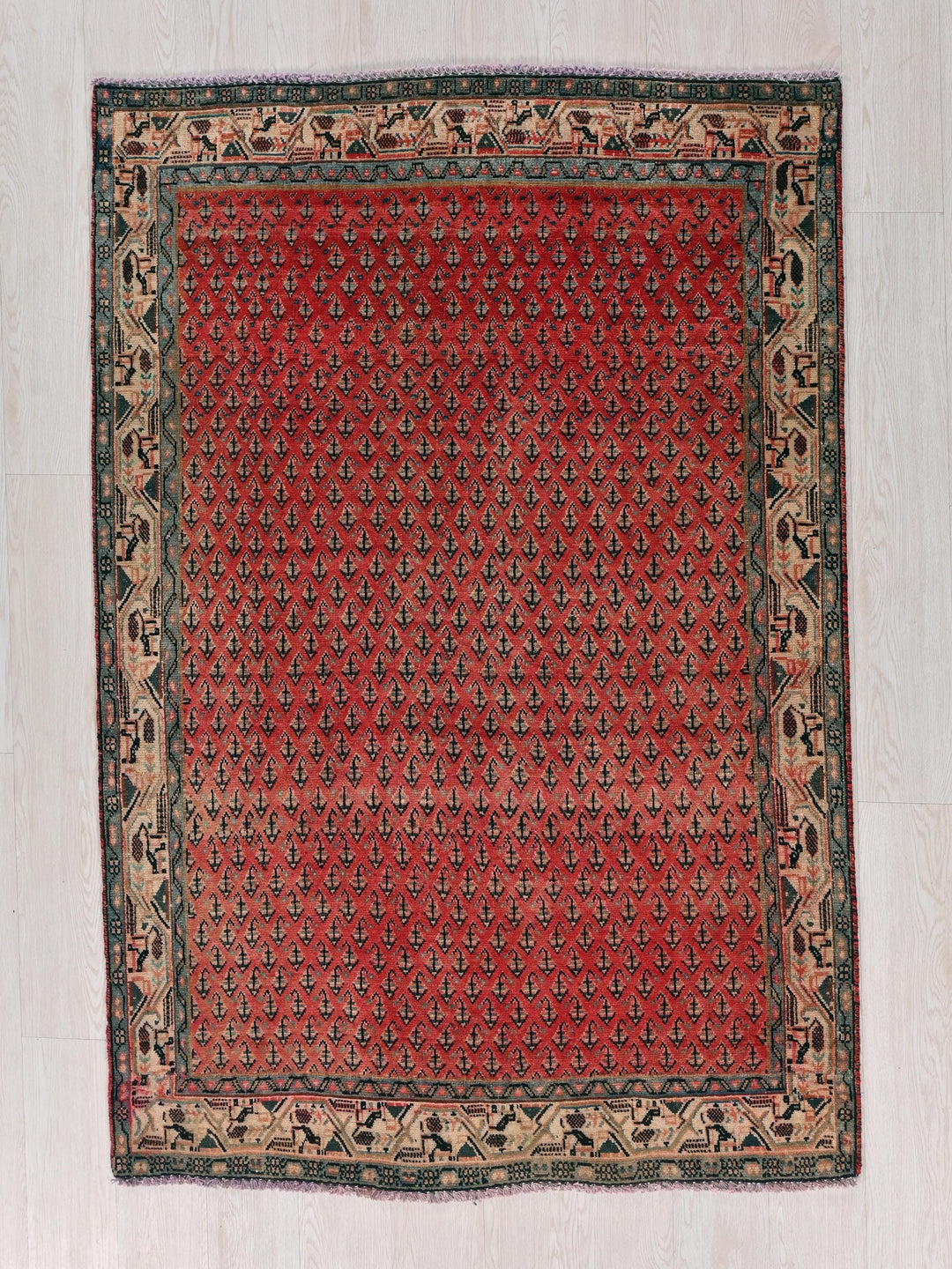 a red rug with a black border on a white floor