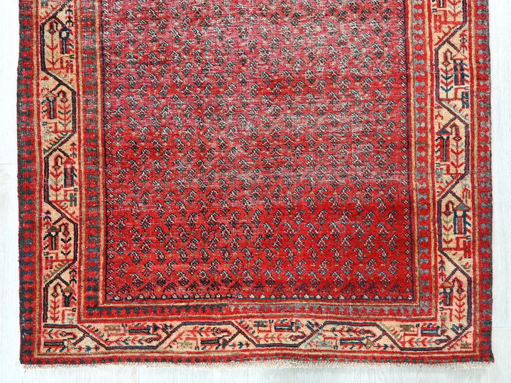 a red rug with a blue border on a white background