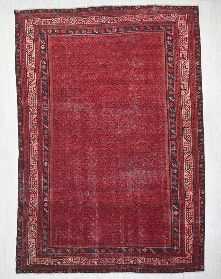 red Large rug 7' 3" x 10' 4"