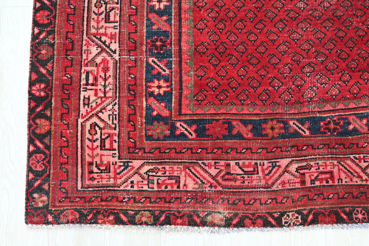 red Large rug 7' 3" x 10' 4"