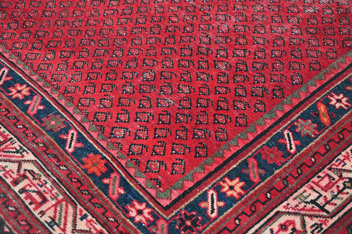 red Large rug 7' 3" x 10' 4"