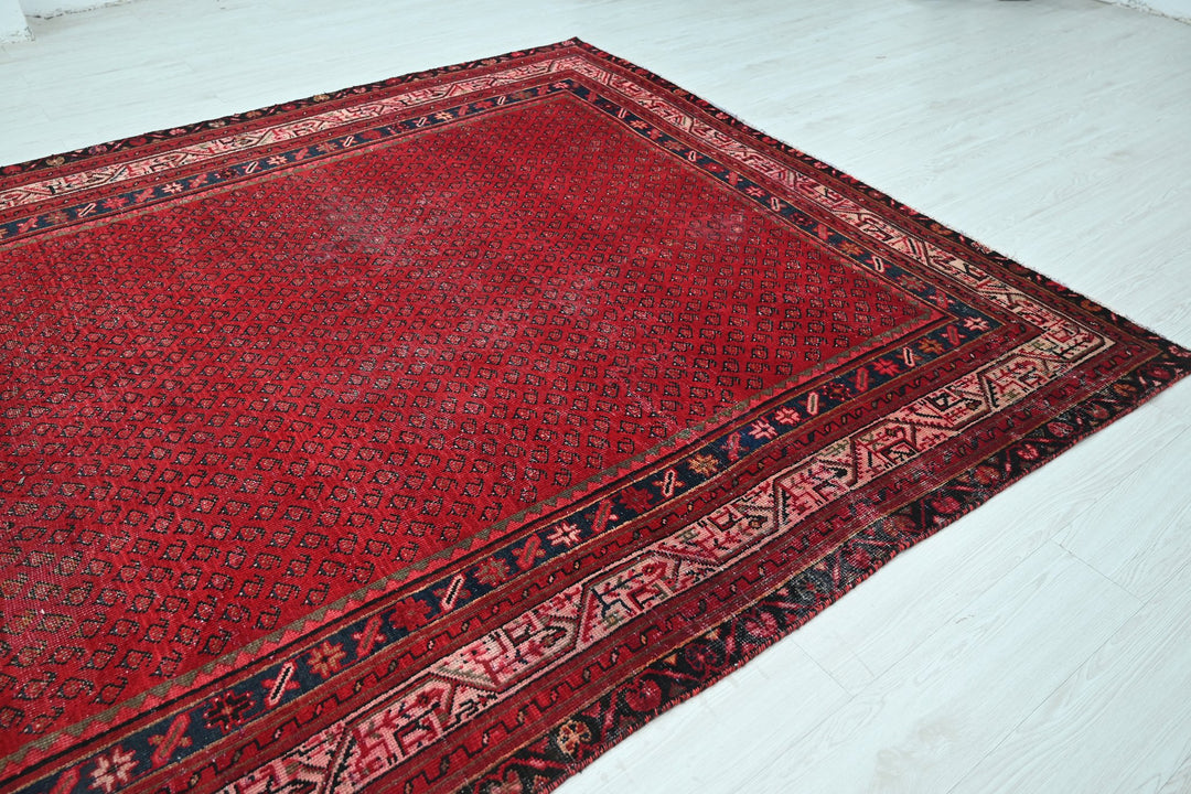 red Large rug 7' 3" x 10' 4"