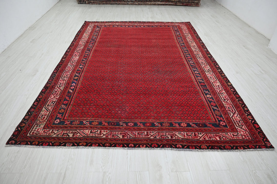 red Large rug 7' 3" x 10' 4"