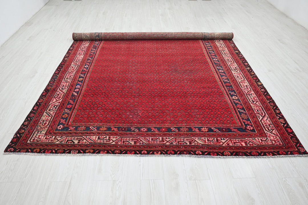 red Large rug 7' 3" x 10' 4"