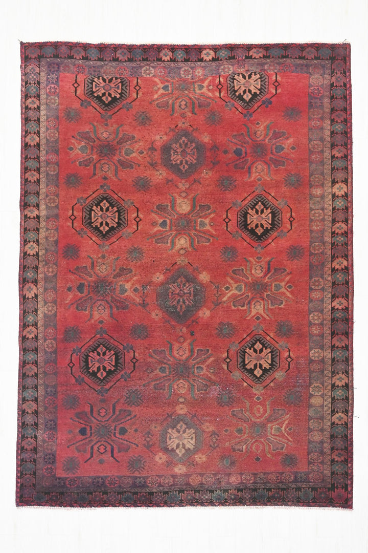 red Medium rug 6' 3" x 8' 9"