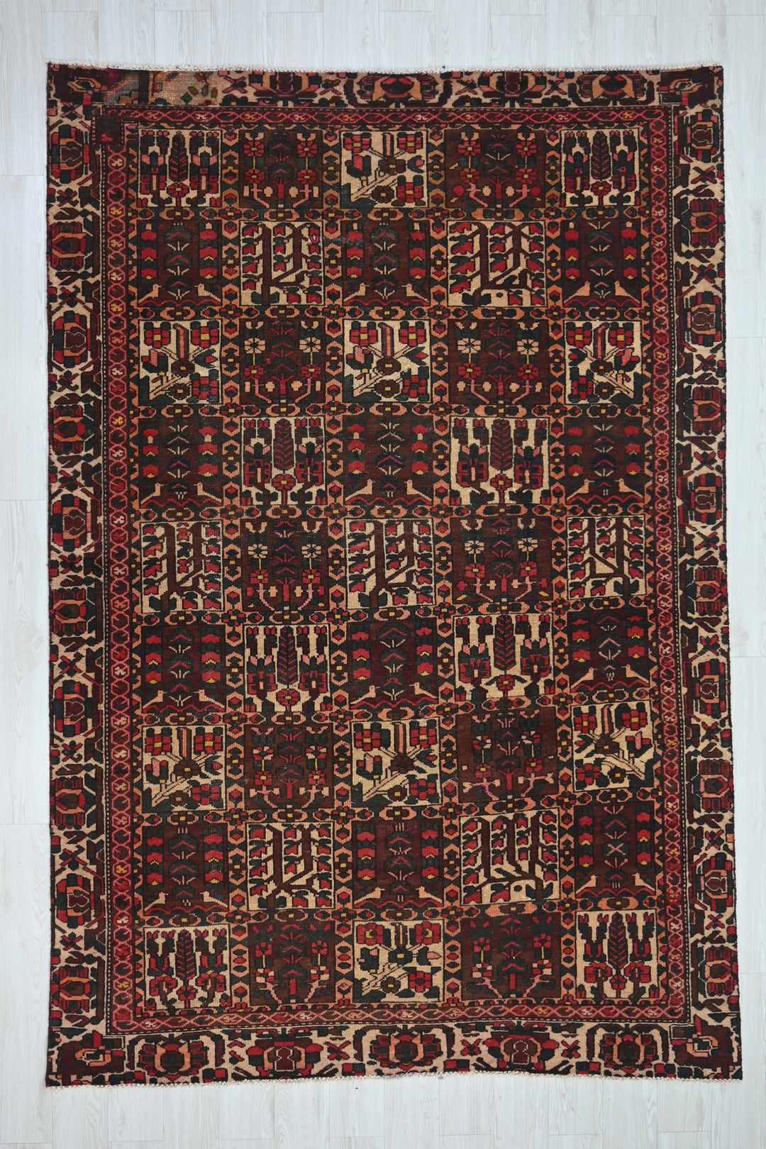 Medium rug 6' 1" x 9' 4"
