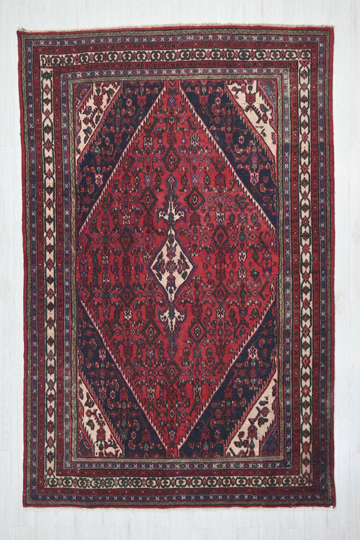 Large rug 6' 11" x 9' 5"