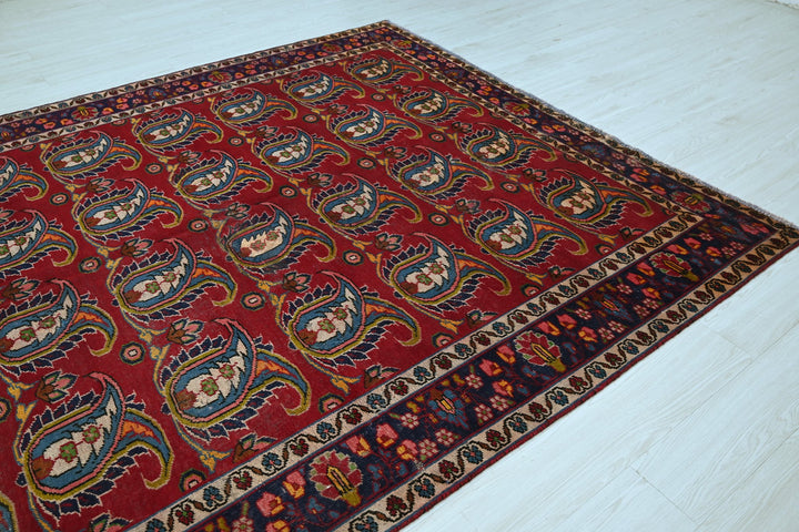 red Large rug 6' 10" x 9' 11"