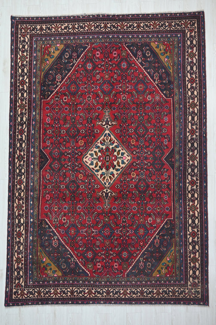 Large rug 6' 9" x 9' 10"