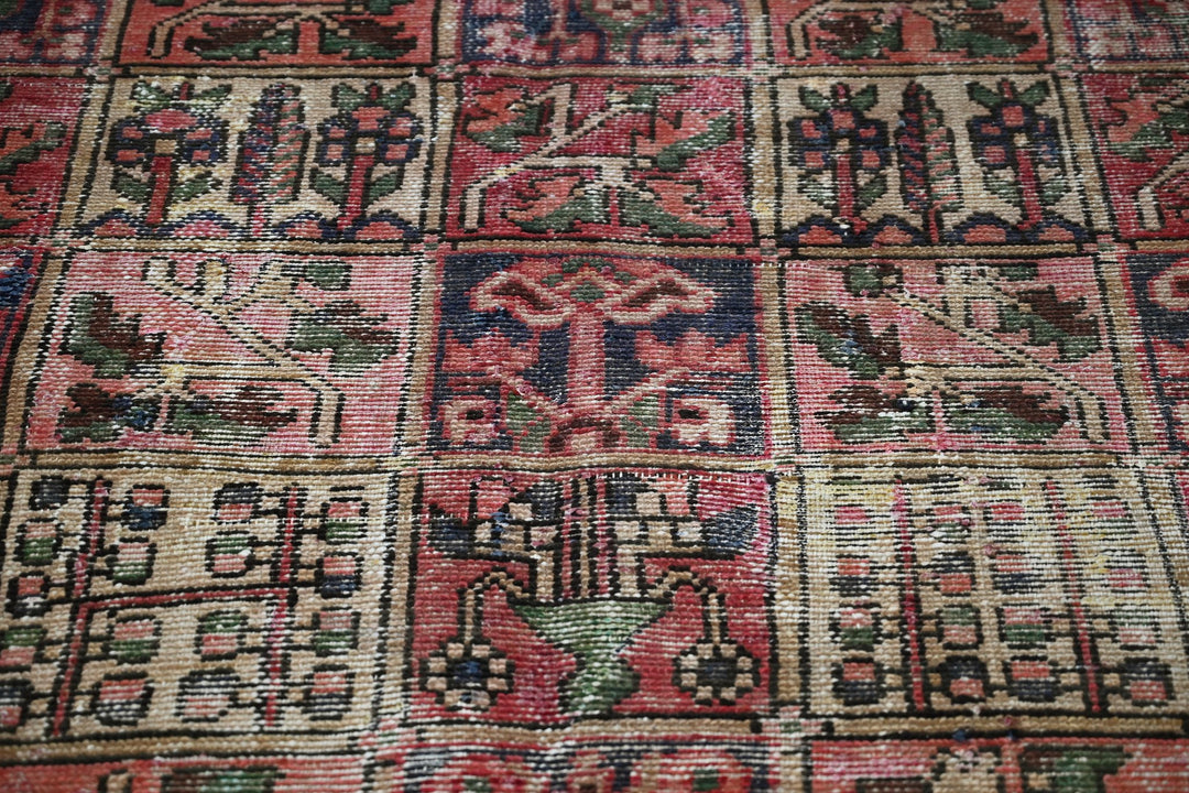 Medium rug 6' 0" x 8' 10"