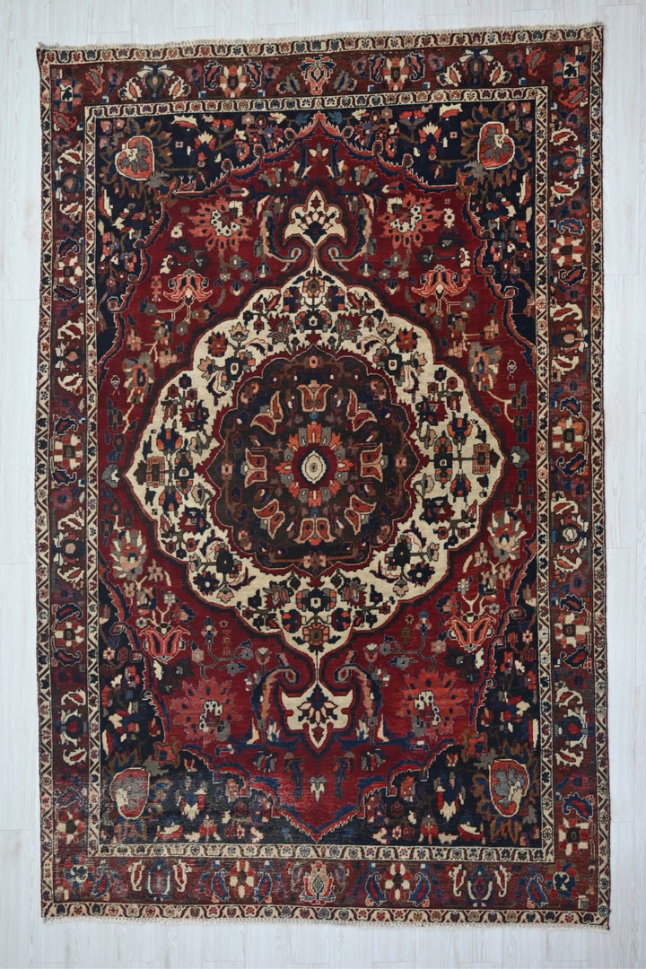 Large rug 6' 8" x 9' 10"