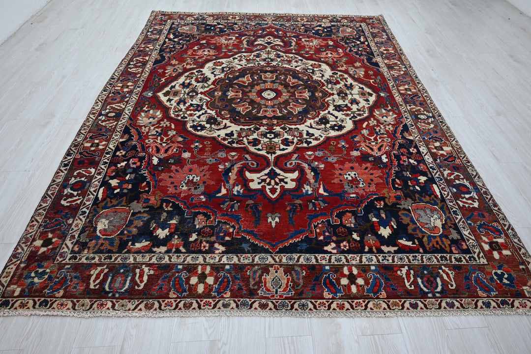 Large rug 6' 8" x 9' 10"