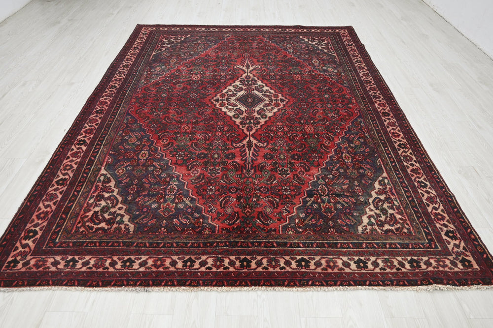 Large rug 6' 9" x 9' 8"