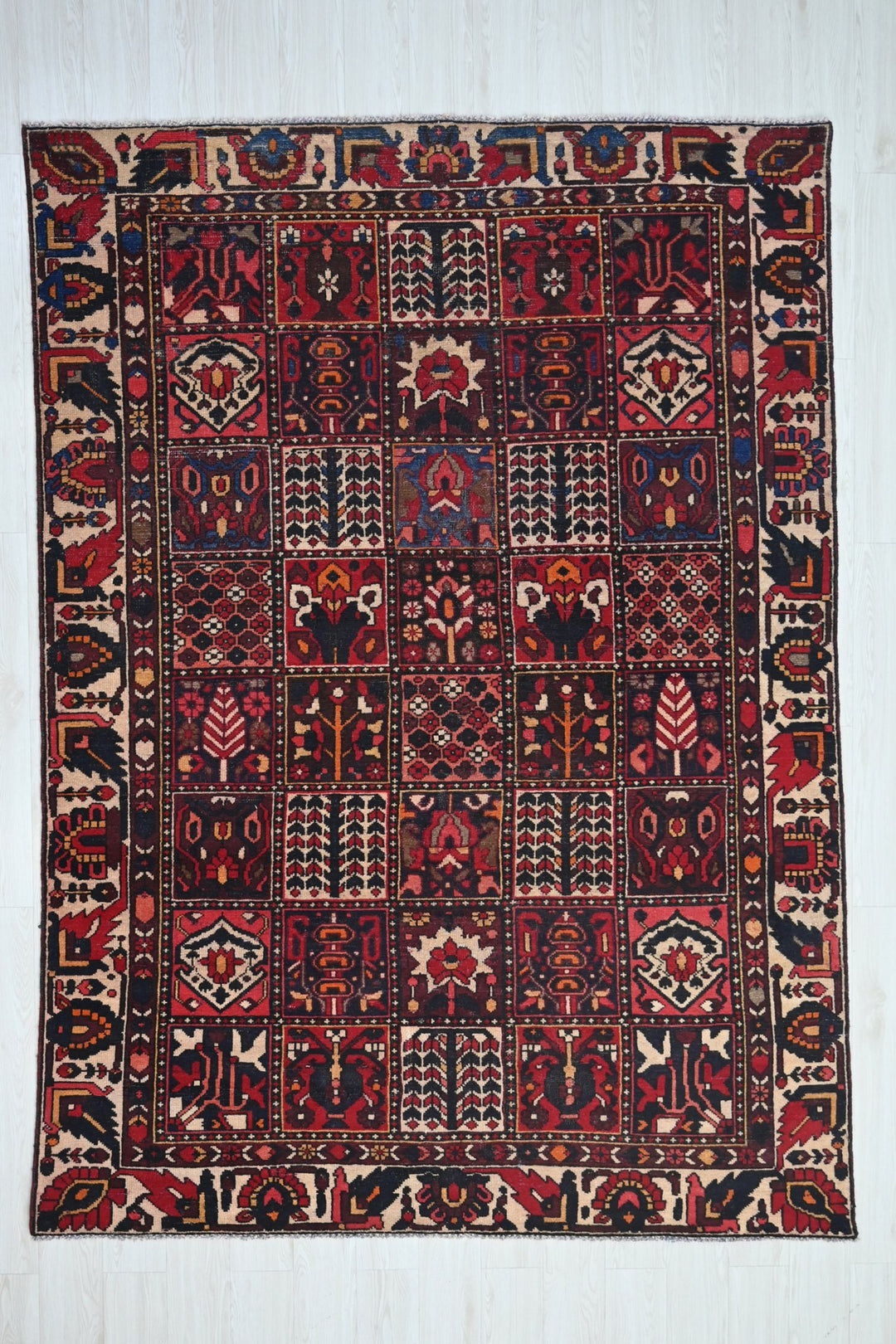 red Medium rug 6' 3" x 9' 0"
