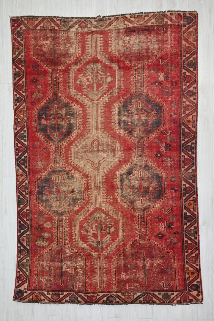 red Medium rug 6' 0" x 9' 2"