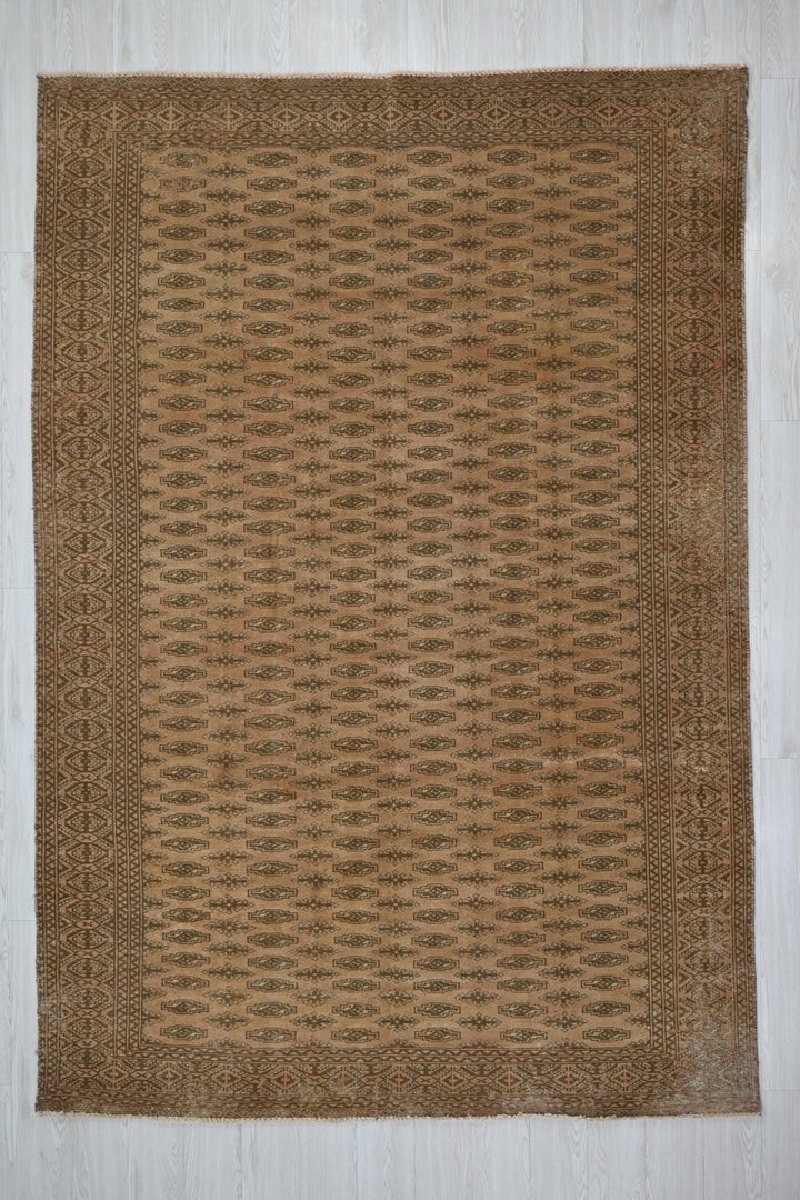 brown Medium rug 6' 1" x 9' 3"