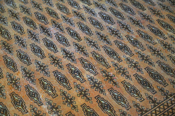 brown Medium rug 6' 1" x 9' 3"