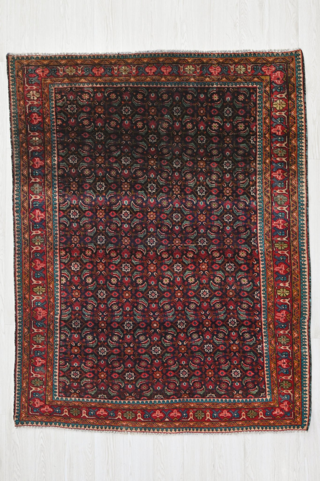 blue Medium rug 5' 0" x 6' 5"