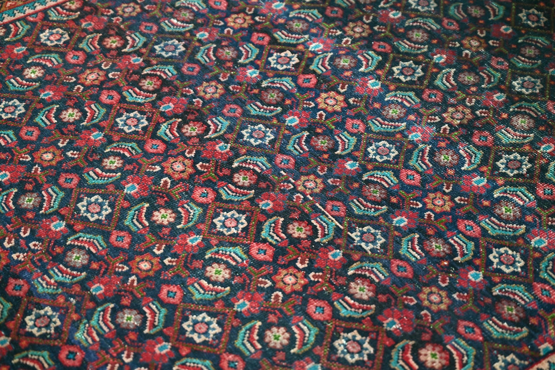blue Medium rug 5' 0" x 6' 5"