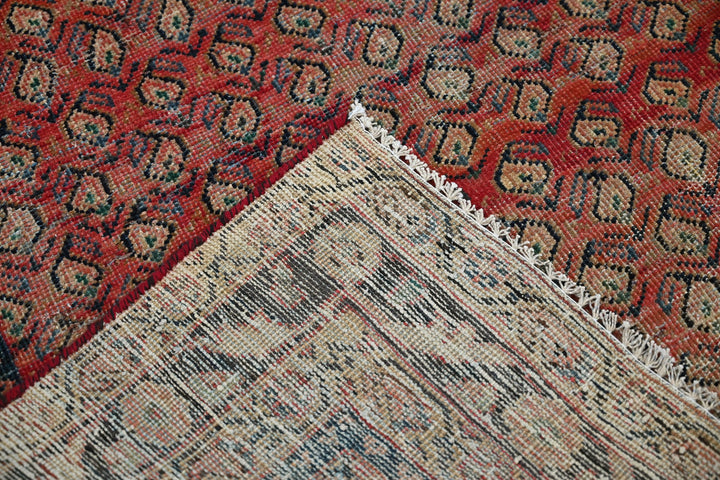 red Medium rug 4' 9" x 6' 7"