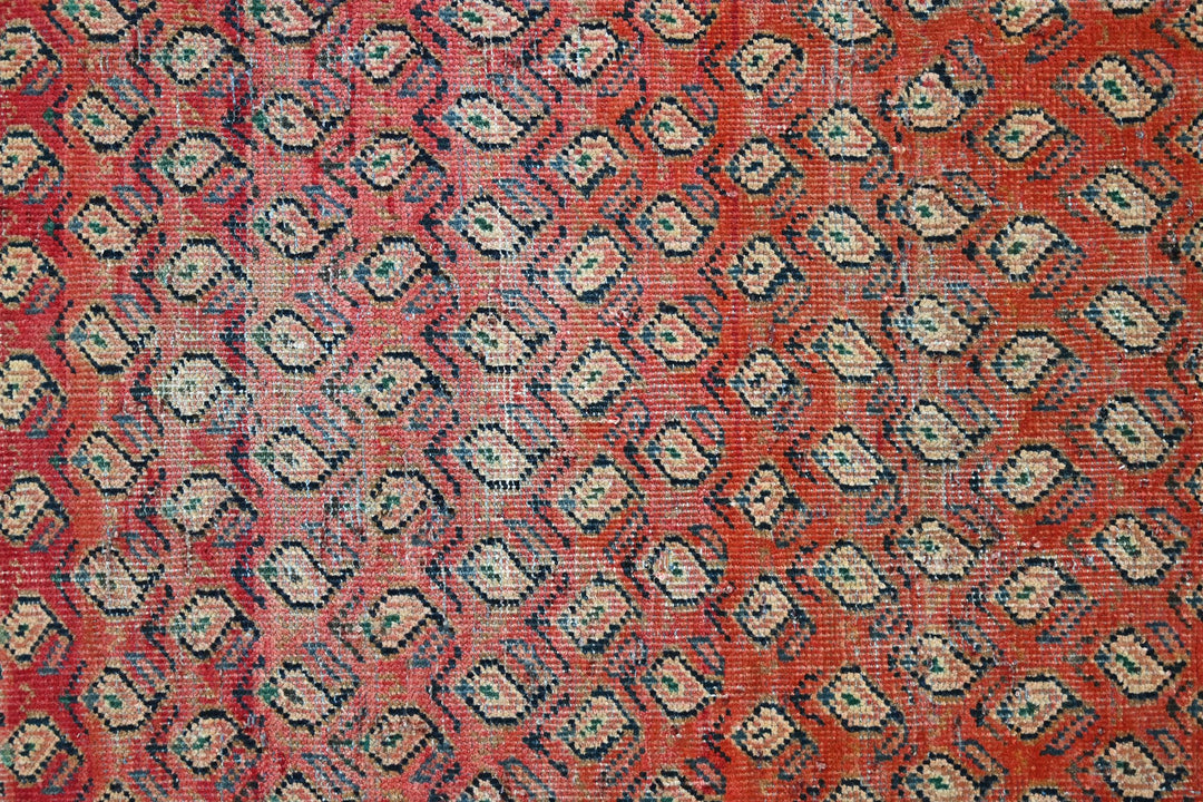 red Medium rug 4' 9" x 6' 7"