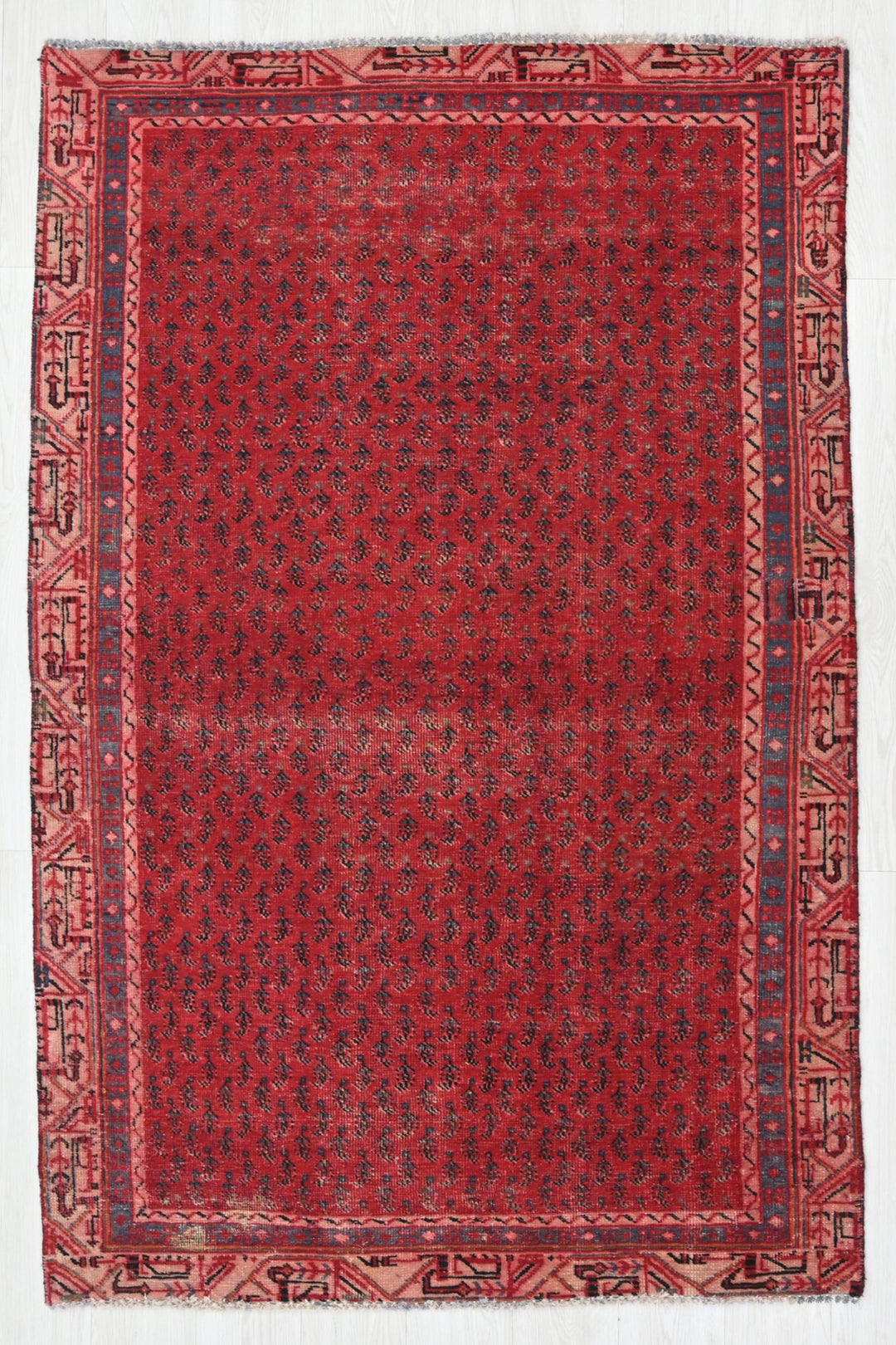 Accent rug 3' 10" x 6' 5"