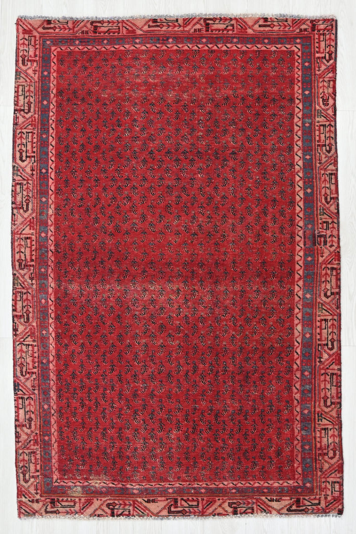 Accent rug 3' 10" x 6' 5"
