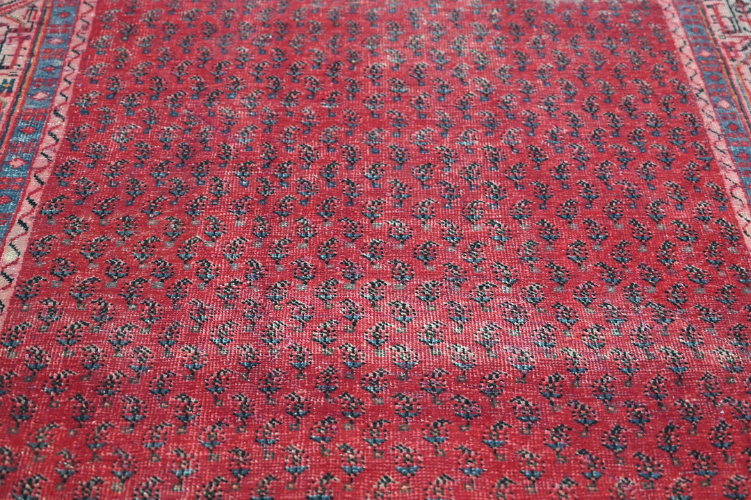 Accent rug 3' 10" x 6' 5"