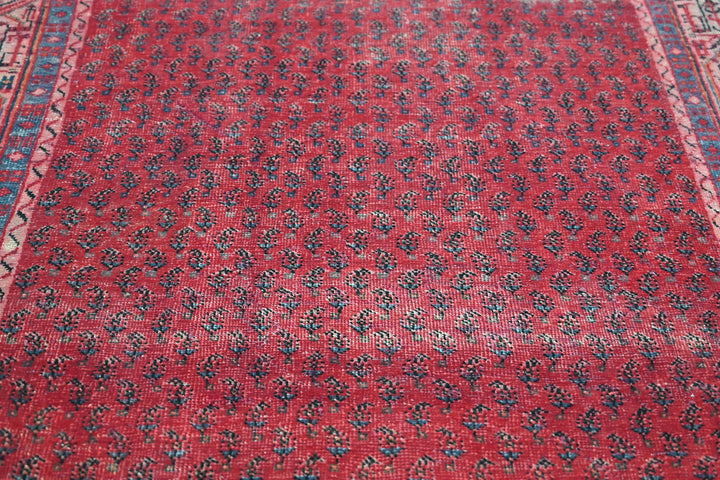 Accent rug 3' 10" x 6' 5"