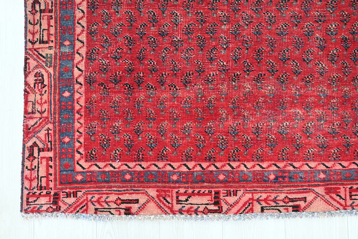 Accent rug 3' 10" x 6' 5"