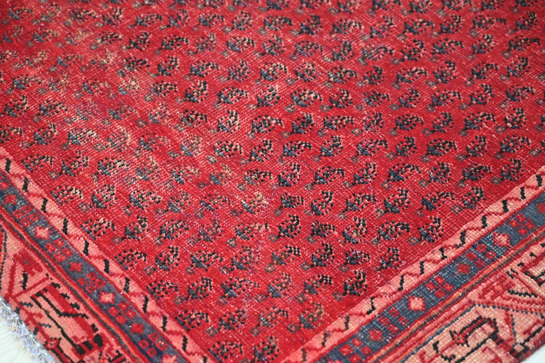 Accent rug 3' 10" x 6' 5"