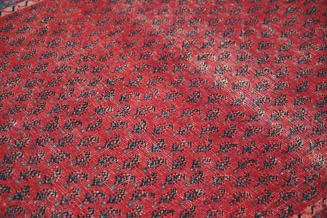 Accent rug 3' 10" x 6' 5"