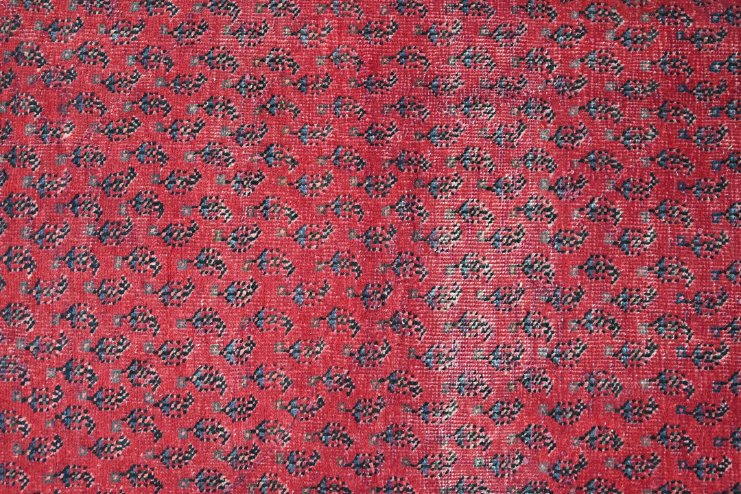 Accent rug 3' 10" x 6' 5"