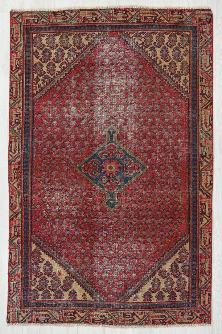 red Accent rug 3' 8" x 6' 3"
