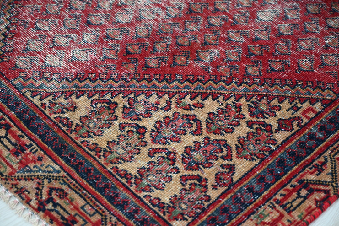 red Accent rug 3' 8" x 6' 3"