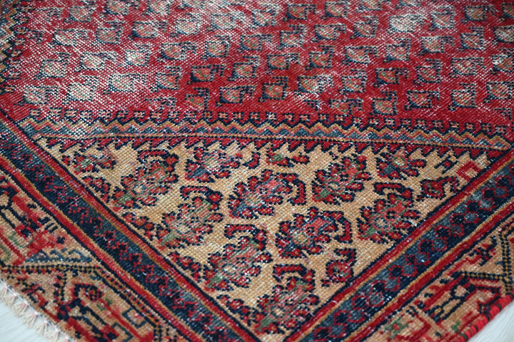 red Accent rug 3' 8" x 6' 3"