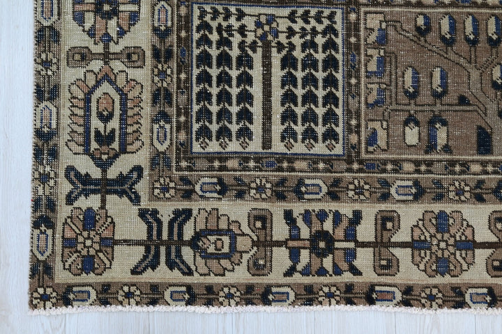 brown Large rug 5' 0" x 9' 9"