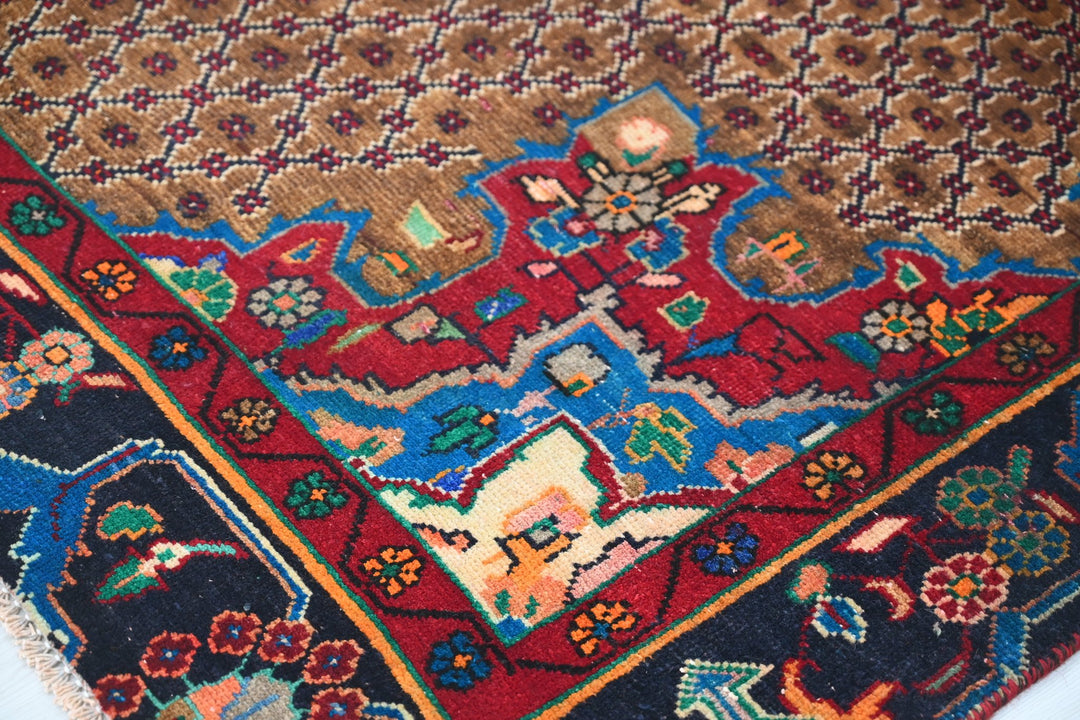 brown Medium rug 4' 6" x 9' 0"