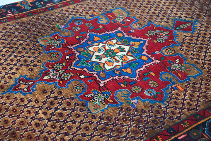 brown Medium rug 4' 6" x 9' 0"